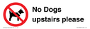 no-dogs-upstairs-please-~